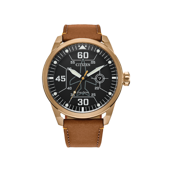 Citizen Eco Drive AW1733 09E