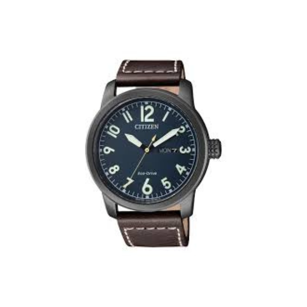 Citizen Eco Drive BM8478 01L