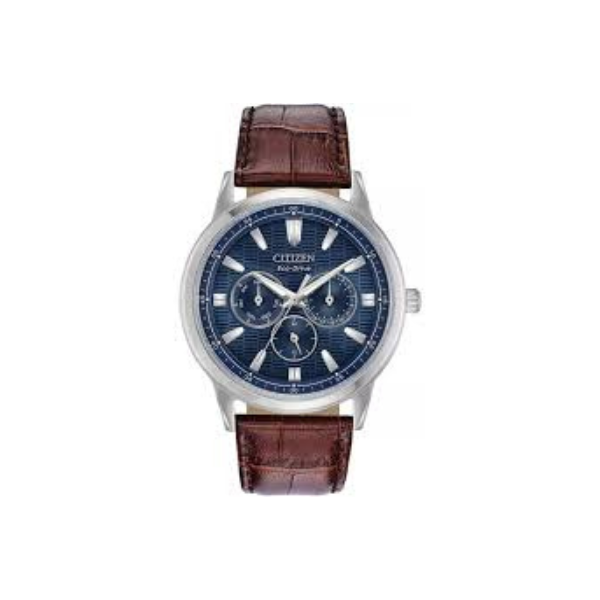 Citizen Eco Drive BU2070 12L