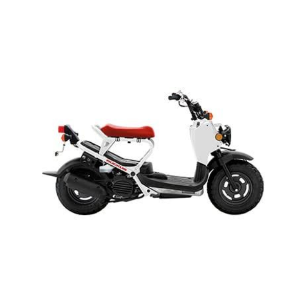 Honda Ruckus NPS50 (2013) 