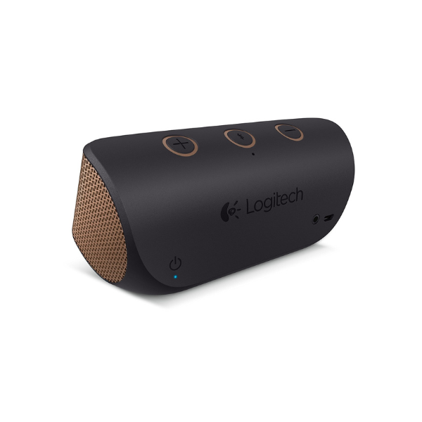 Logitech X300 